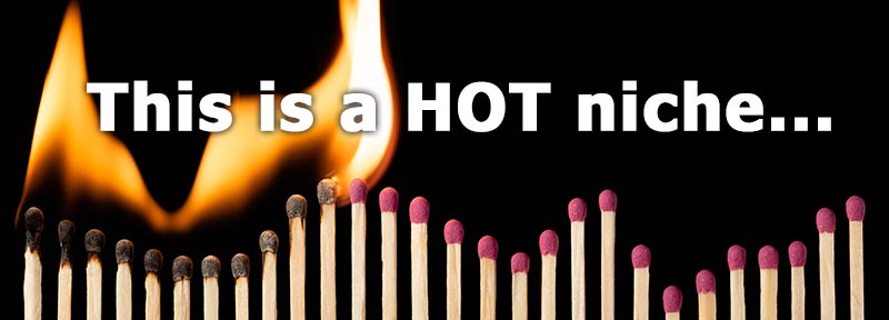 hot niche